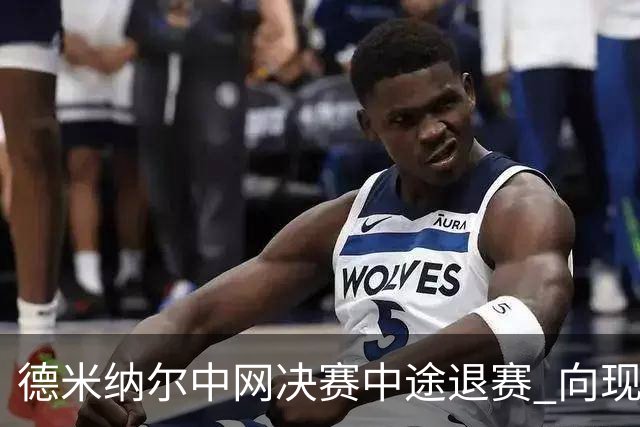 德米纳尔中网决赛中途退赛 向现场球迷道歉